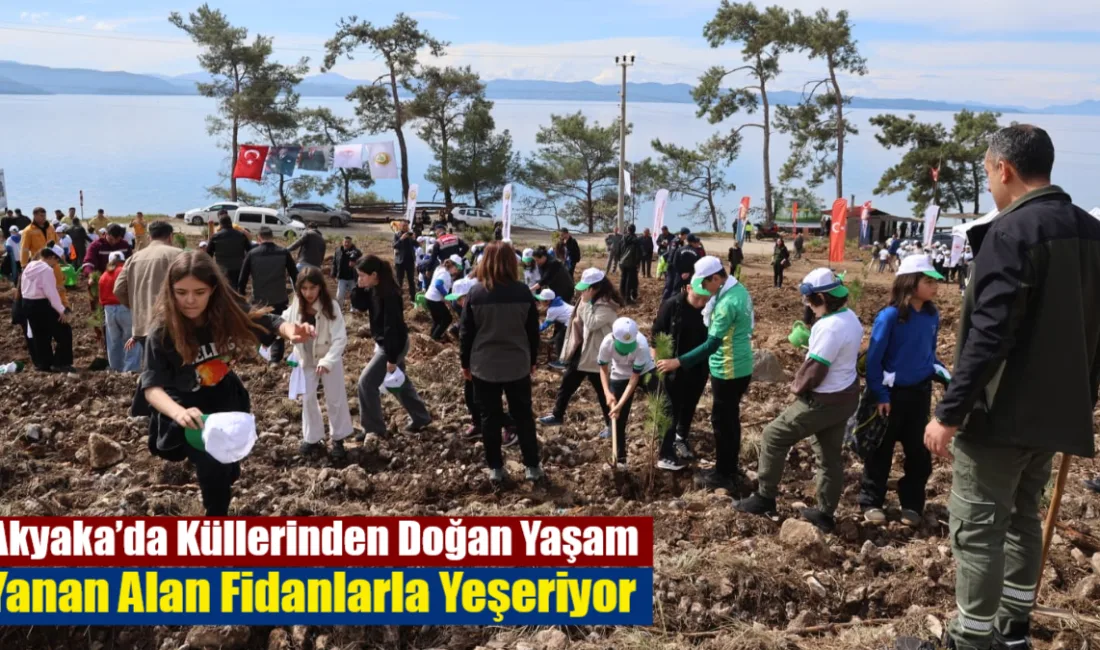 Muğla'nın Akyaka bölgesinde 2024 yılında yanan Turnalı mevkii, Orman Haftası