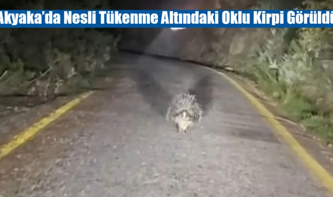 Muğla’nın Ula ilçesine bağlı Akyaka’da akşam saatlerinde yolda ilerleyen bir