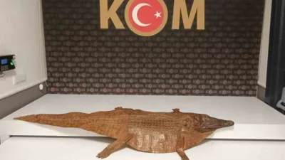 Afyonkarahisar girişinde şüphe üzerine durdurulan bir araçta yapılan aramada ele