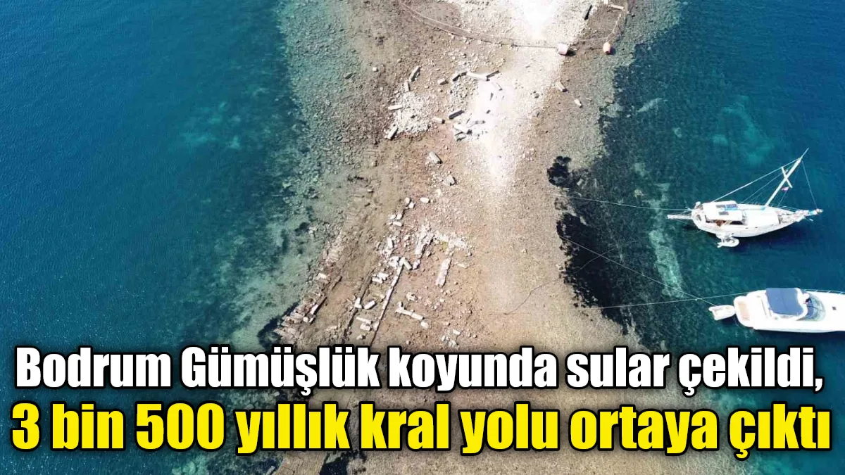 Bodrum Gümüşlük’te denizin metrelerce çekilmesiyle gün yüzüne çıkan 3 bin