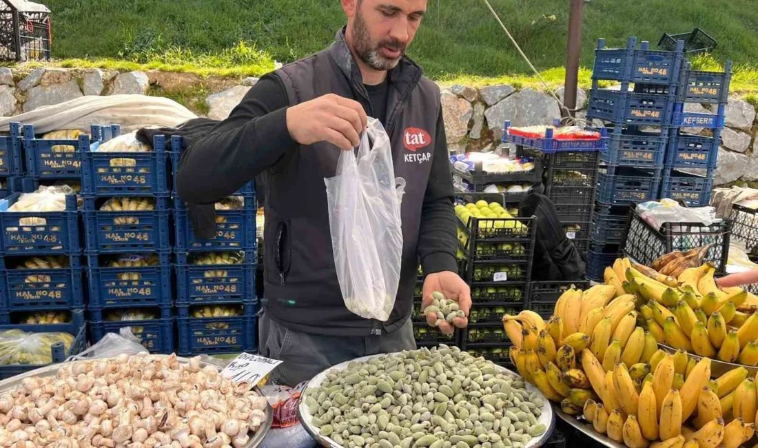 Datça'nın ilk hasat çağla bademi Yatağan Pazarı'nda kilogramı 1.000 TL'den