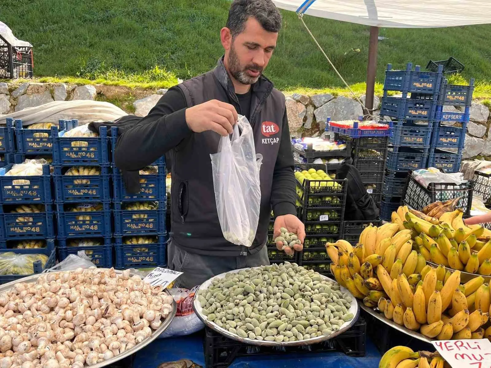 Datça'nın ilk hasat çağla bademi Yatağan Pazarı'nda kilogramı 1.000 TL'den