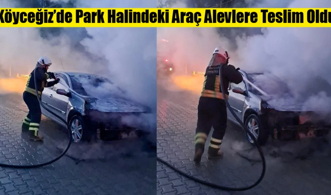 Muğla’nın Köyceğiz ilçesinde çıkan araç yangını paniğe neden oldu. İtfaiye
