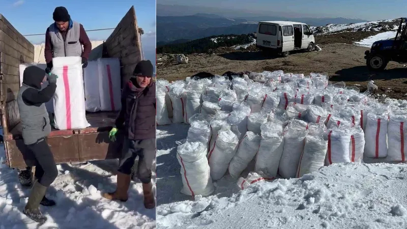 Aydın Bozdoğan’da Madran Dağı’nın zirvesinden toplanan doğal karlar, asırlık yöntemlerle