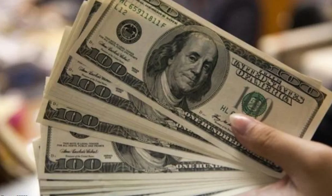 Yeni haftanın ilk iş gününde serbest piyasada dolar 44,33 TL,