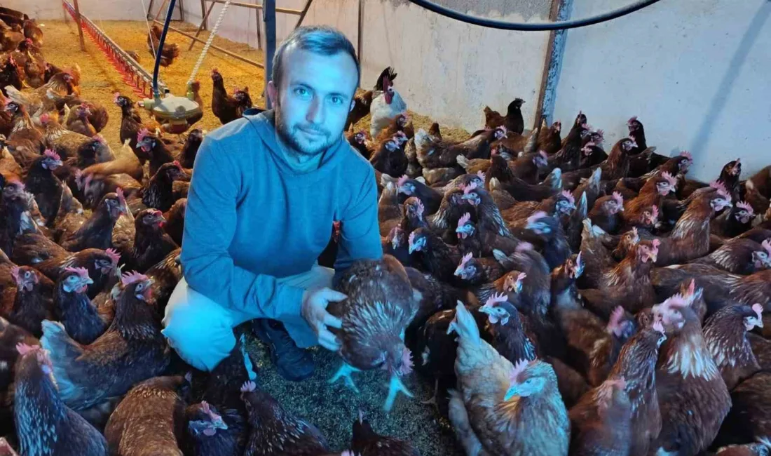 Manisa'da yüksek kiralar nedeniyle şehir hayatını bırakan 32 yaşındaki Levent