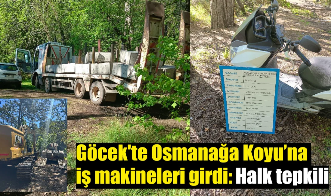 Muğla’nın Fethiye ilçesine bağlı Göcek Mahallesi’ndeki Osmanağa Koyu’nda iş makinelerinin