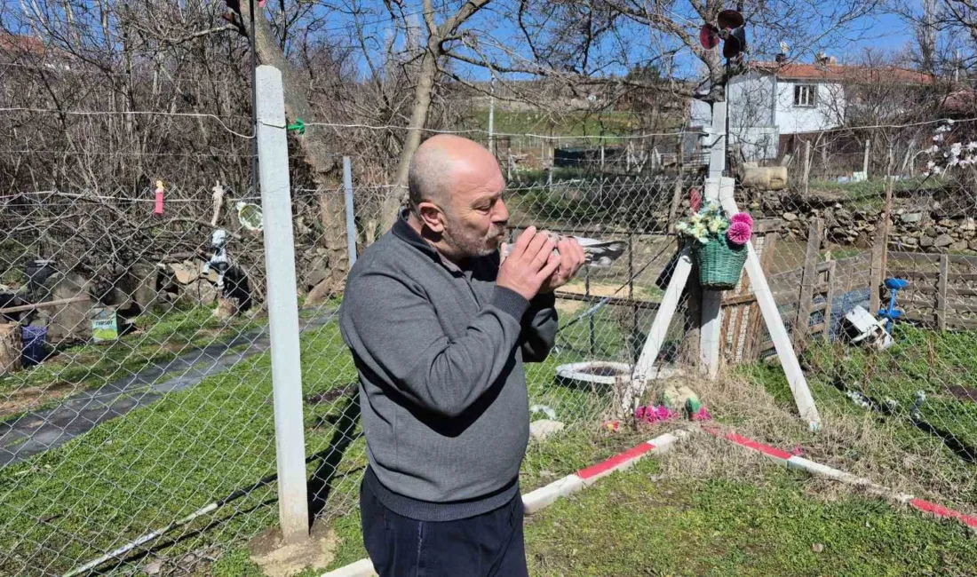 Eskişehirli Hasan Şavluk, 43 yıldır tutkunu olduğu güvercinleri için her