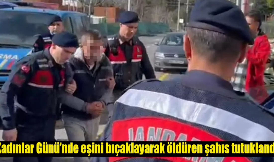 Muğla'nın Kavaklıdere ilçesinde Kadınlar Günü'nde eşini bıçaklayarak öldüren A.B., tutuklanarak