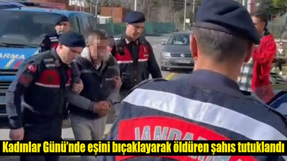 Muğla'nın Kavaklıdere ilçesinde Kadınlar Günü'nde eşini bıçaklayarak öldüren A.B., tutuklanarak