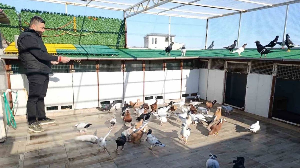 13 yıllık memurluktan istifa ederek hayalindeki güvercin yetiştiriciliğine başlayan Hasan