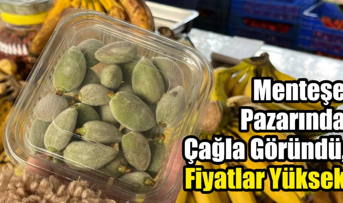 Baharın habercisi çağla, Muğla’nın Menteşe ilçesinde tezgahlardaki yerini almaya başladı.