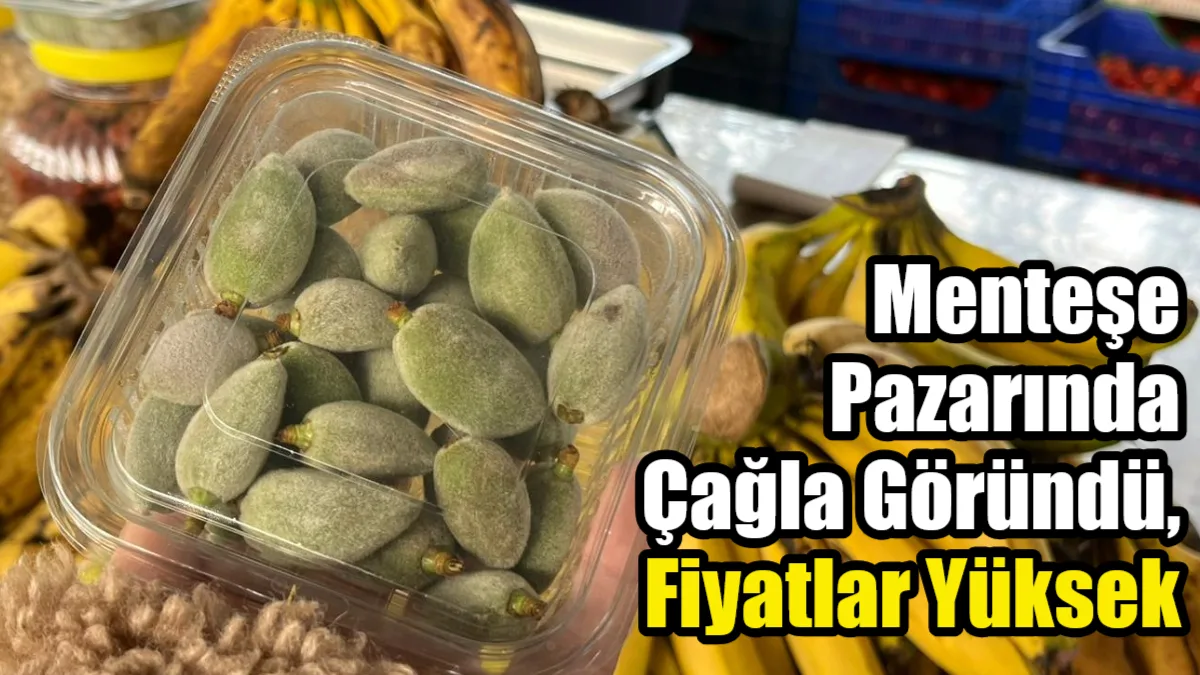 Baharın habercisi çağla, Muğla’nın Menteşe ilçesinde tezgahlardaki yerini almaya başladı.