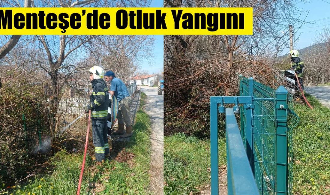 Muğla’nın Menteşe ilçesi Yeşilyurt Mahallesi’nde çıkan otluk yangını, Muğla Büyükşehir