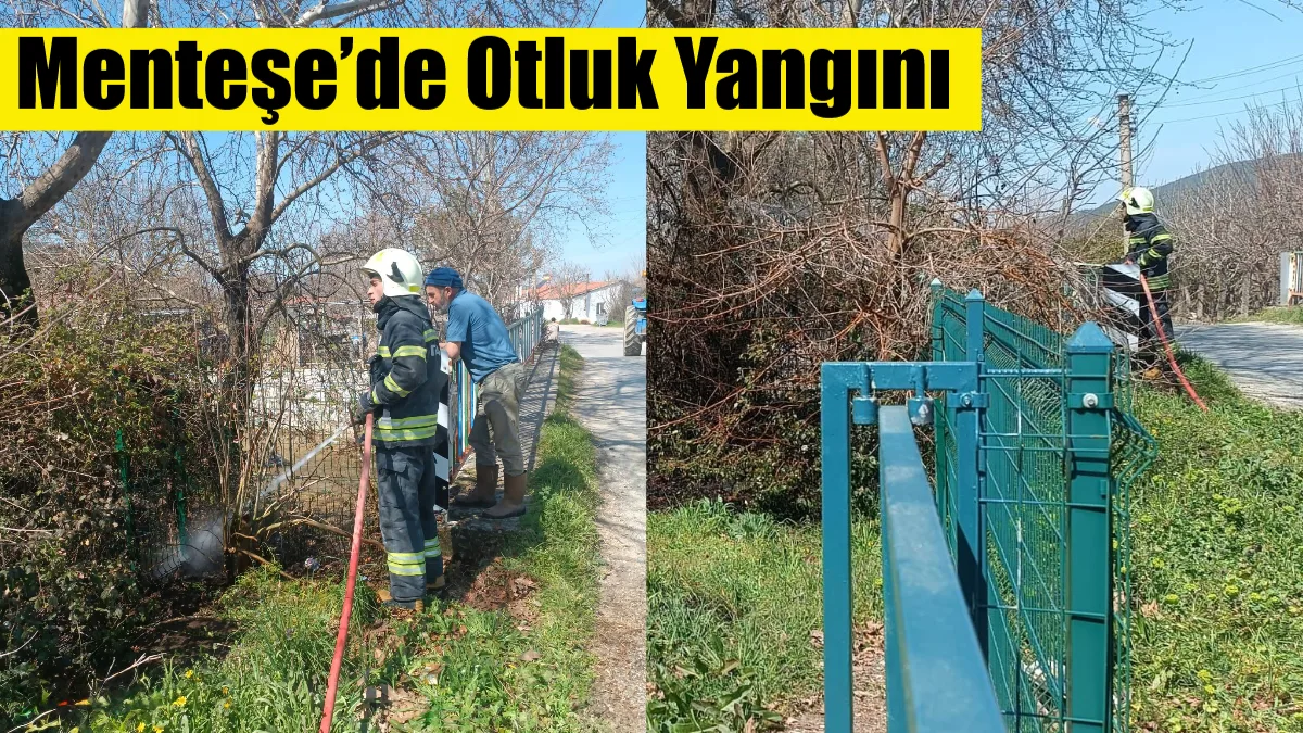 Muğla’nın Menteşe ilçesi Yeşilyurt Mahallesi’nde çıkan otluk yangını, Muğla Büyükşehir