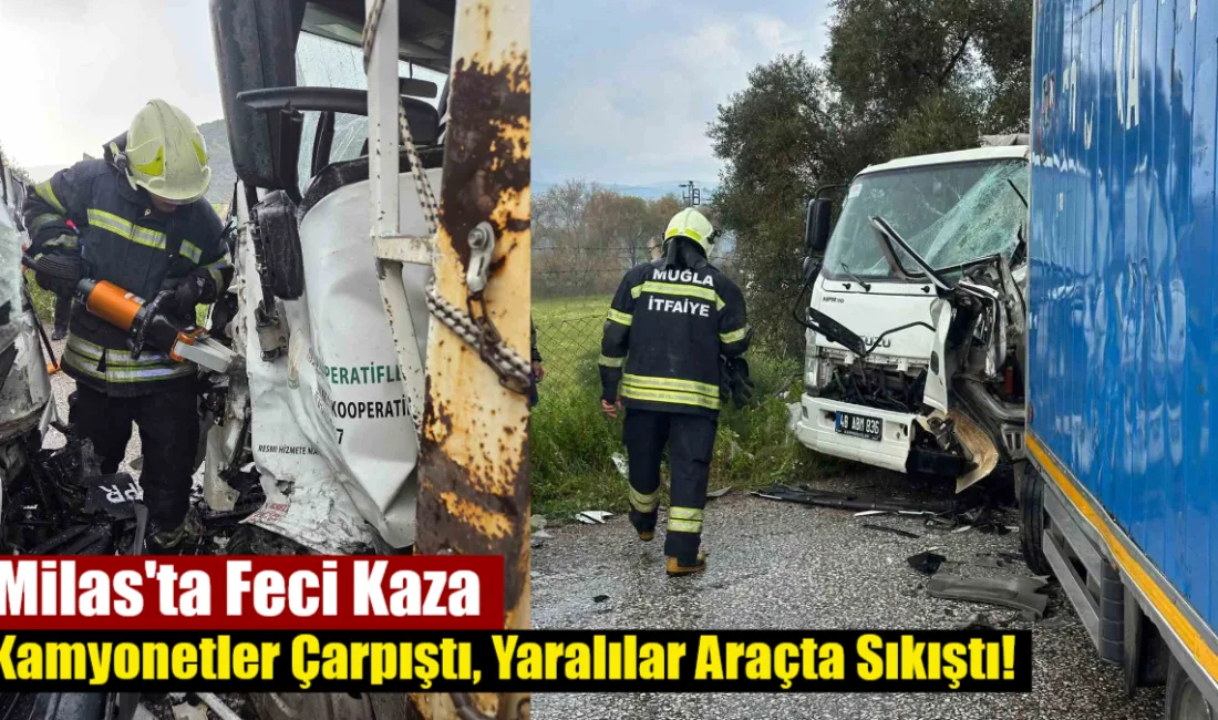 Milas Damlıboğaz'da iki kamyonetin çarpışması sonucu meydana gelen kazada araçlarda