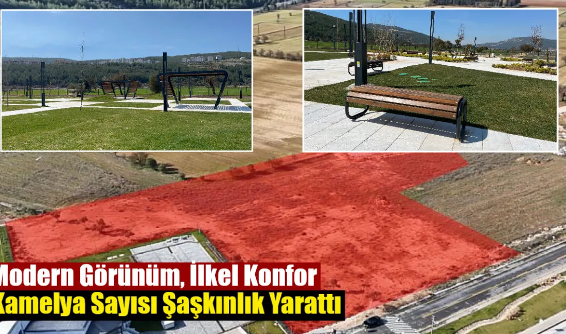 Muğla Büyükşehir Belediyesi’nin Cengiz Bektaş Kent Belleği yanındaki park projesi,