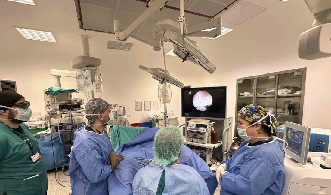 Muğla Eğitim ve Araştırma Hastanesi, iyi huylu prostat büyümesi tedavisinde