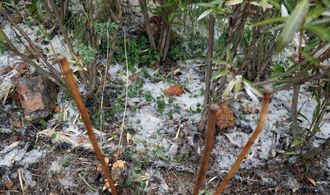 Menteşe'de akşam saatlerinde etkili olan sağanak ve dolu yağışı özellikle