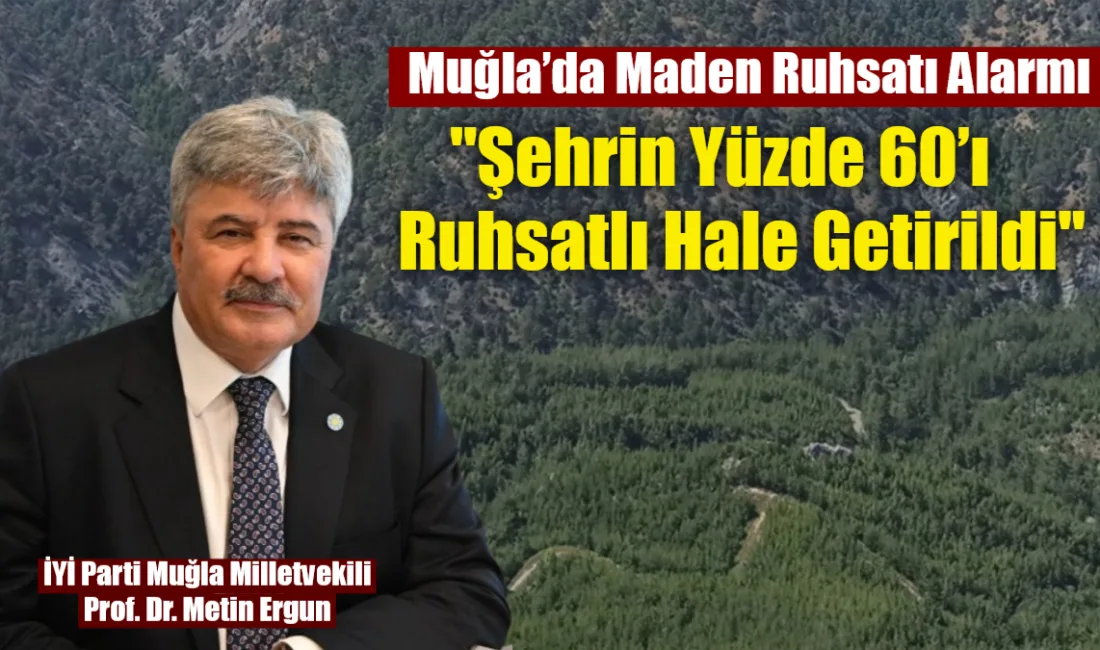 İYİ Parti Muğla Milletvekili Metin Ergun, TBMM’de yaptığı konuşmada Muğla