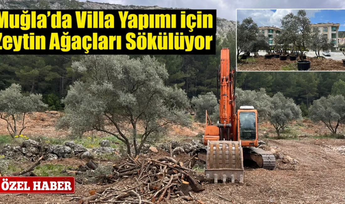 Muğla’nın Menteşe ilçesinde, ruhsat süreci henüz tamamlanmamış bir proje için