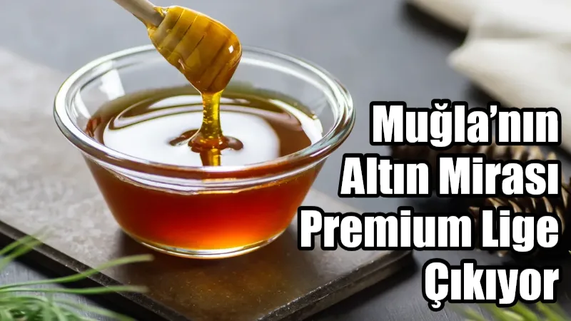 Dünya üretim merkezi Muğla olan çam balı, ileri laboratuvar analizleri