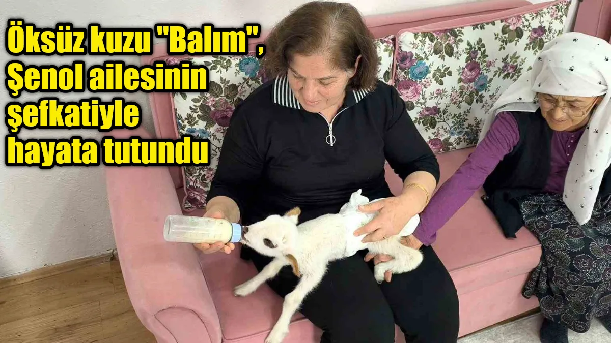 Muğla Menteşe'de Şenol ailesi, annesiz ve kardeşsiz kalan 'Balım' isimli