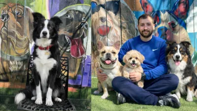 Tatil dönemlerinde evcil hayvan sahiplerinin en büyük endişelerinden biri olan