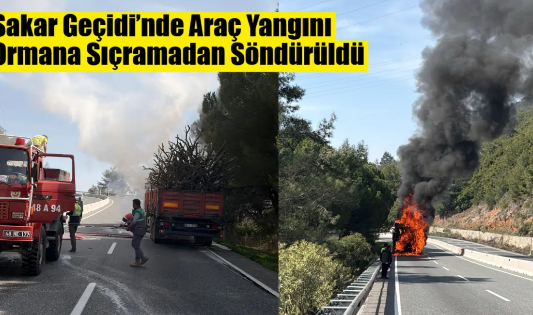 Muğla’da Sakar Geçidi’nde odun yüklü bir tırda çıkan yangın, ekiplerin