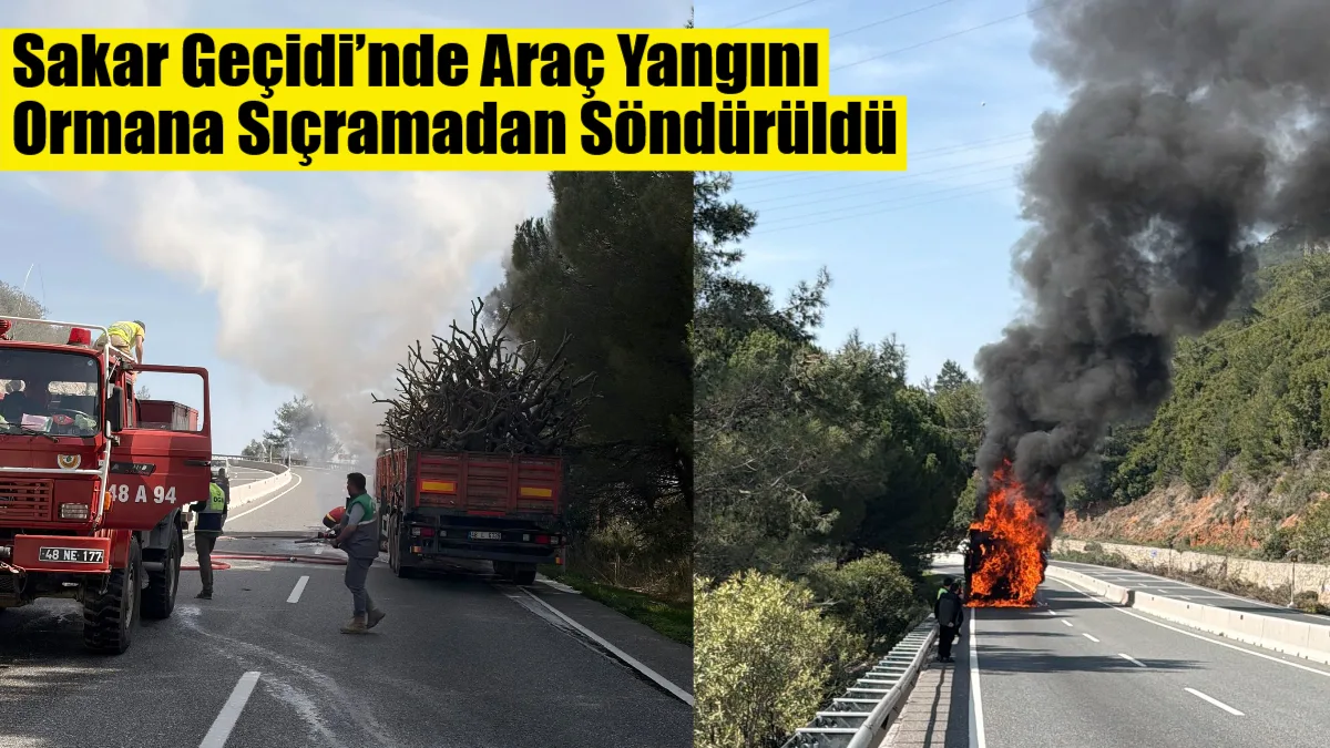 Muğla’da Sakar Geçidi’nde odun yüklü bir tırda çıkan yangın, ekiplerin
