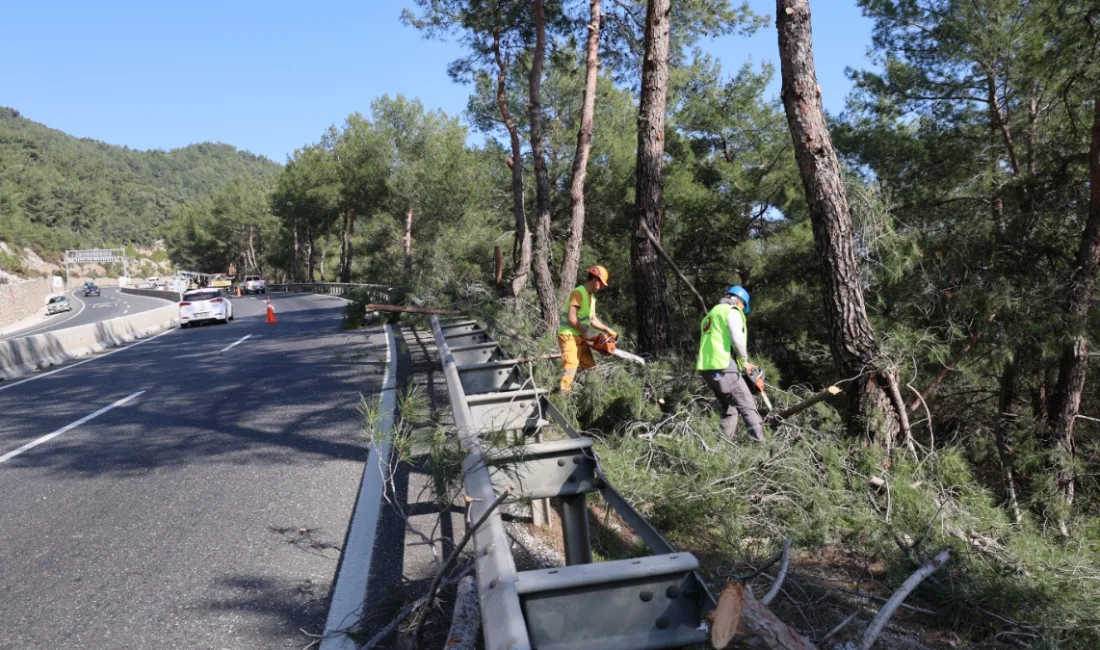 Muğla Orman Bölge Müdürlüğünde orman yangınlarına karşı önleyici faaliyetler ve