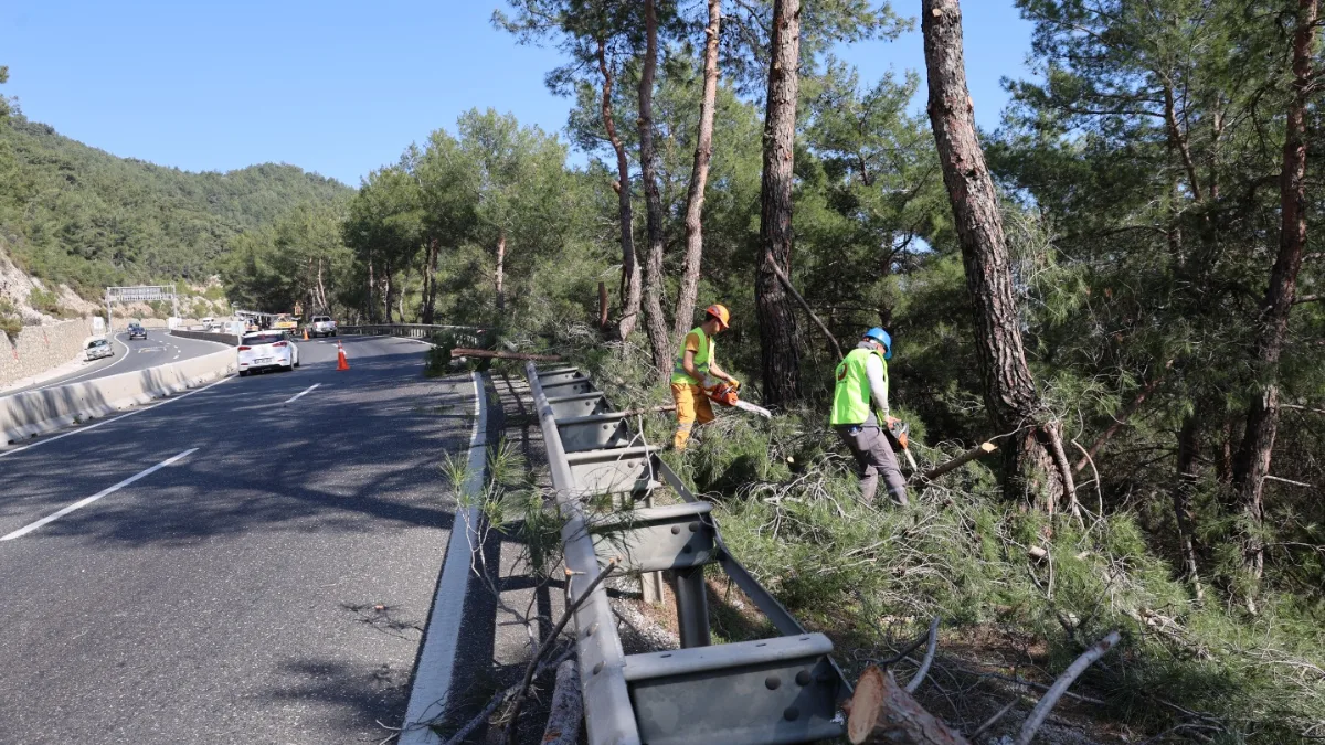 Muğla Orman Bölge Müdürlüğünde orman yangınlarına karşı önleyici faaliyetler ve