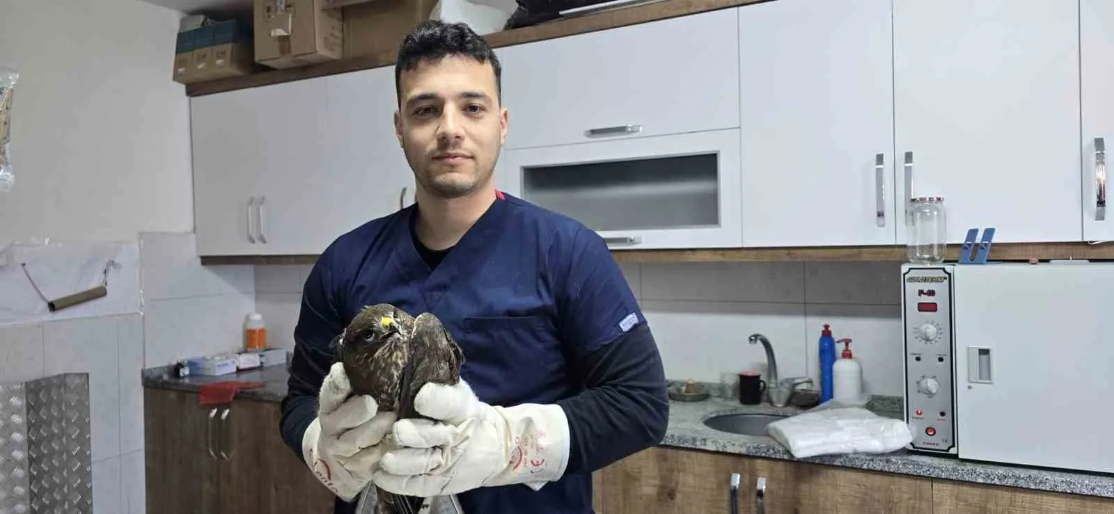 Muğla’nın Seydikemer ilçesinde yaralı halde bulunan şahinin tedavisine başlandı.