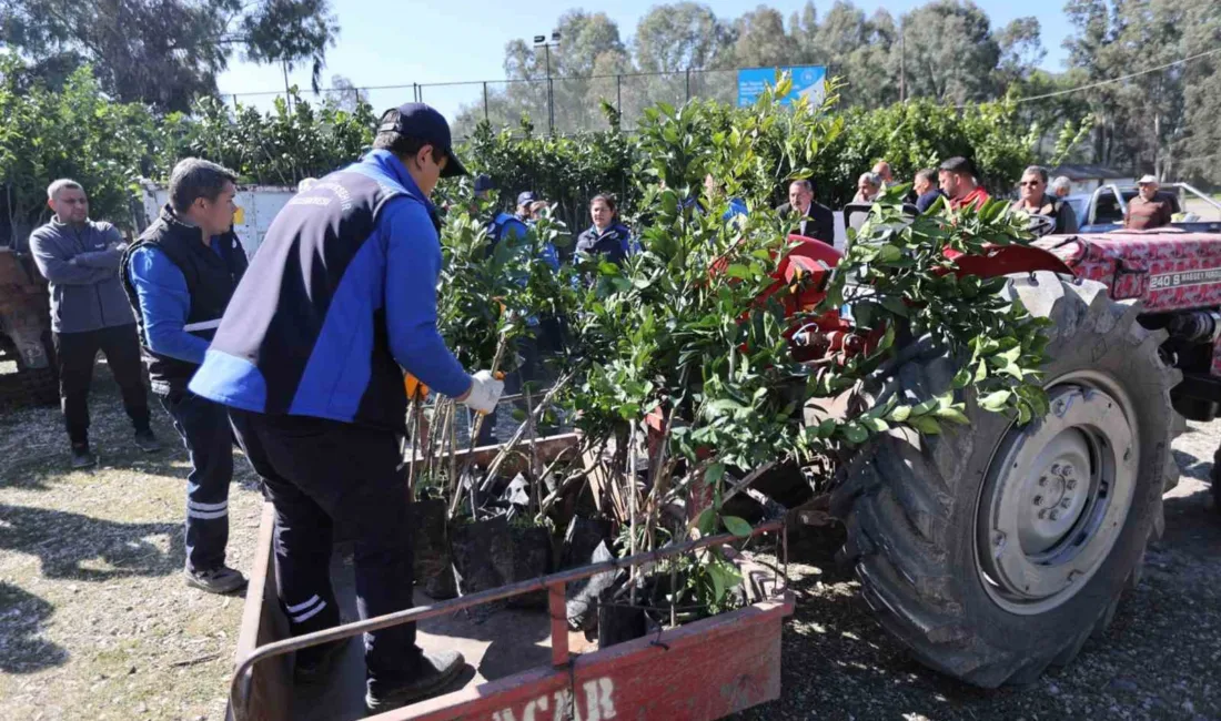 Muğla Büyükşehir Belediyesi, geçen yıl Köyceğiz'de yaşanan zirai don felaketinin
