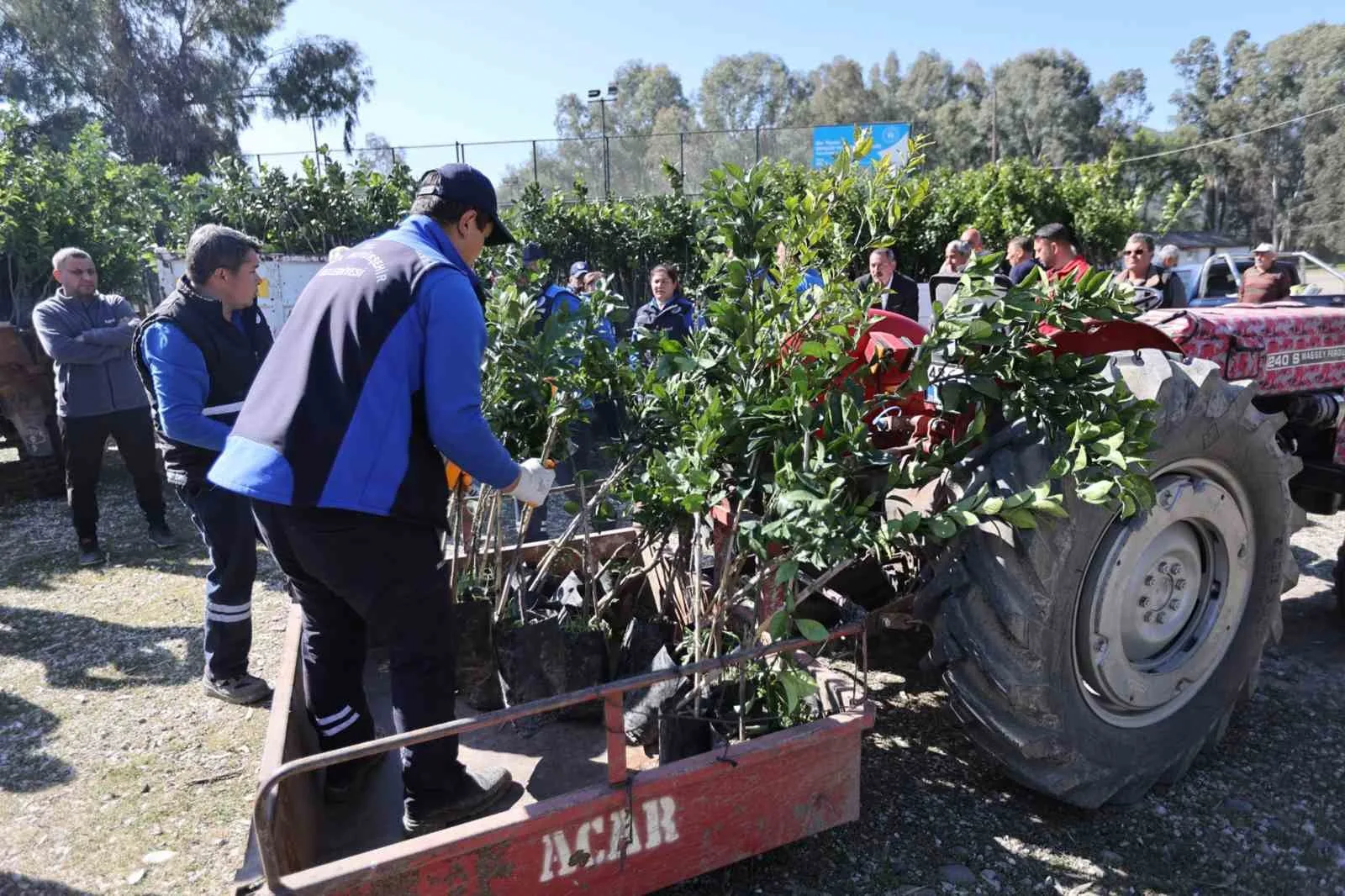 Muğla Büyükşehir Belediyesi, geçen yıl Köyceğiz'de yaşanan zirai don felaketinin