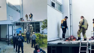 Esenyurt'ta silah seslerinin duyulduğu iddia edilen bir dairede yaşayan kadın,