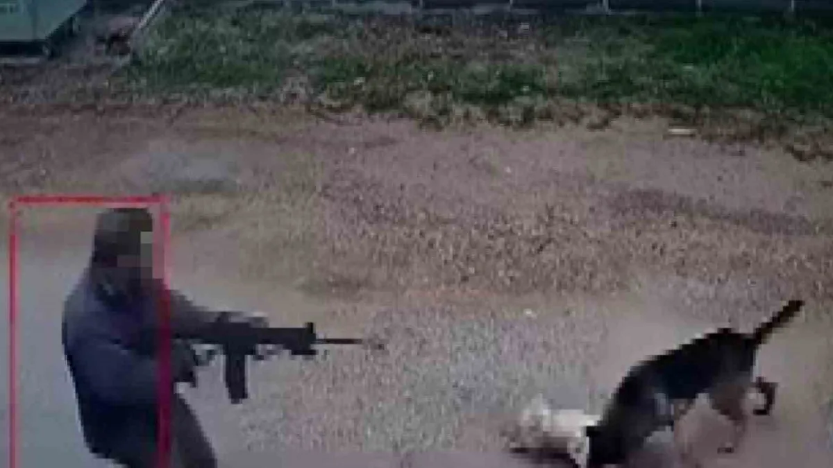 Antalya Kepez'de kavga eden köpeklerden birini pompalı tüfekle acımasızca öldüren