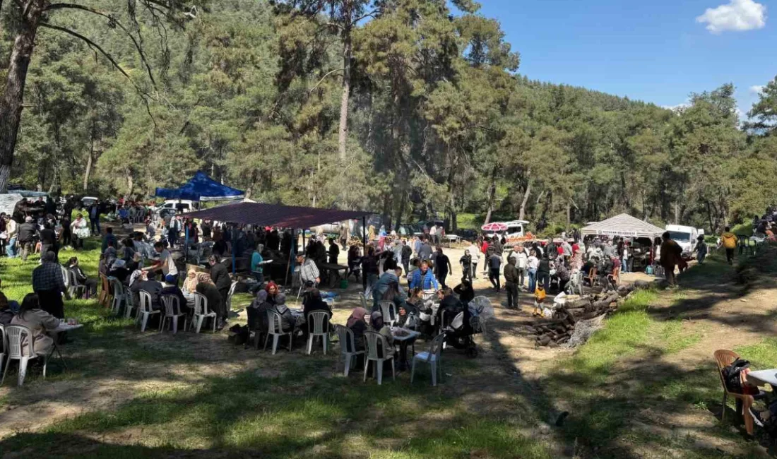 Aydın Kuyucak'ta Karaca ailesi öncülüğünde 41 yıldır aralıksız sürdürülen 'Dede