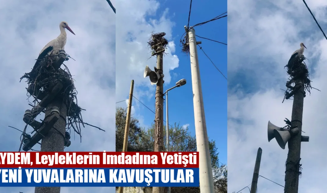 7 yıl önce Menteşe ilçesi Yerkesik Mahallesi Balık Camii karşısındaki