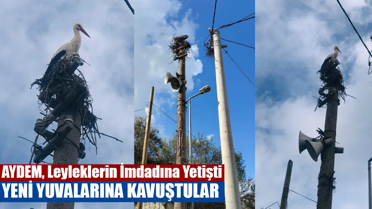 7 yıl önce Menteşe ilçesi Yerkesik Mahallesi Balık Camii karşısındaki