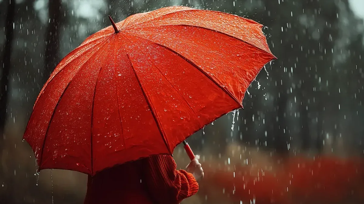 Meteoroloji Genel Müdürlüğü, Perşembe günü zirve yapacak sıcaklıkların ardından 17