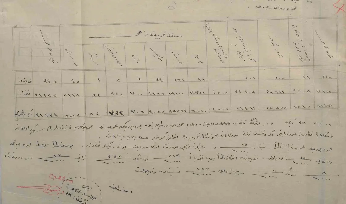 Çanakkale Savaşları Enstitüsü tarafından paylaşılan 1915 tarihli sağlık raporu, Arıburnu