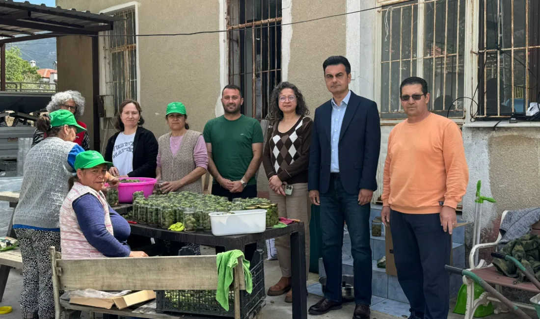 Muğla Büyükşehir Belediyesi desteğiyle Datça’da üretilen ve 250 tona ulaşan