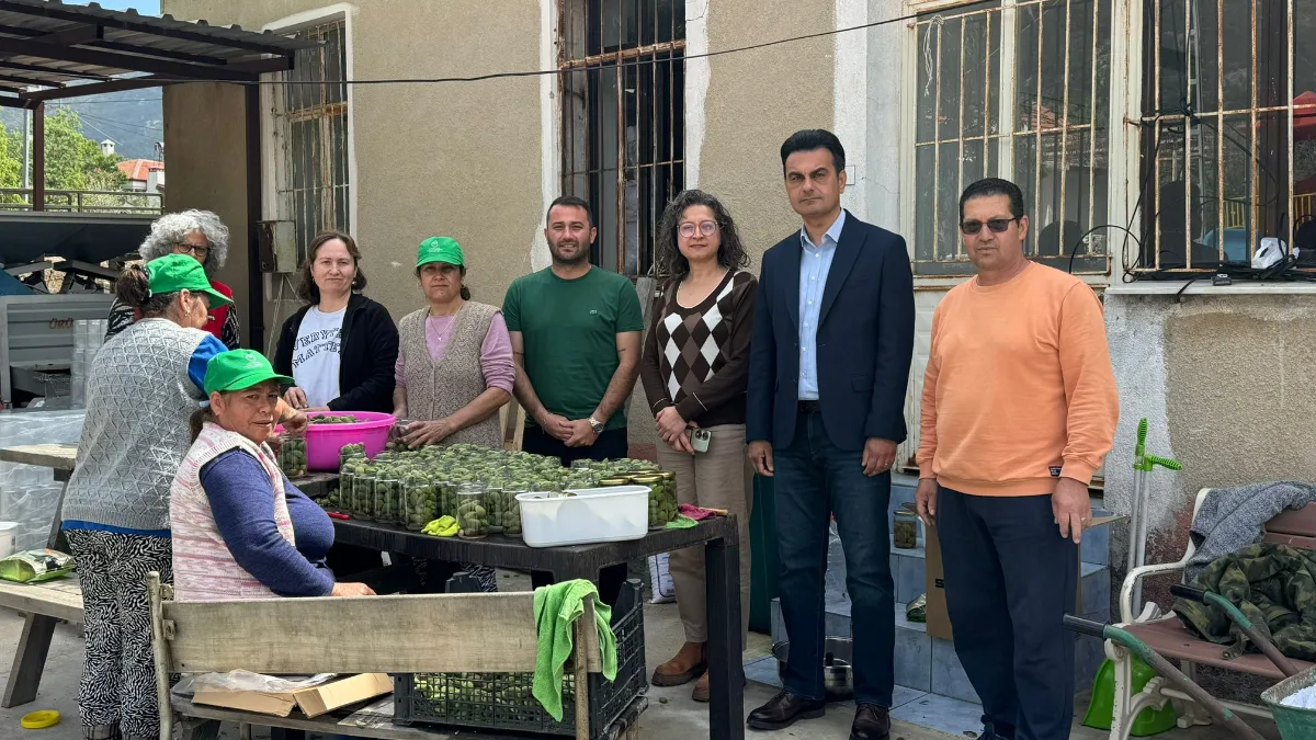 Muğla Büyükşehir Belediyesi desteğiyle Datça’da üretilen ve 250 tona ulaşan