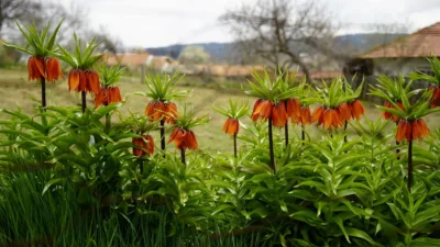 Denizli’de göçmenlerle gelen ve 5 yıl aradan sonra yeniden açan