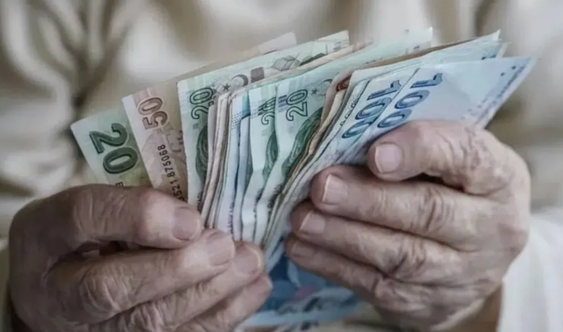 Denizli Büyükşehir Belediyesi, ihtiyaç sahibi 3 bin 250 emekliye yönelik