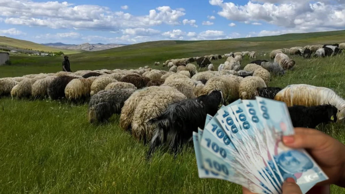 TÜME Vakfı ve MAKÜ iş birliğiyle başlatılan projede, köye dönen