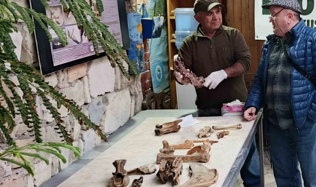 Kuşadası'nda fırtına sonrası kıyıya vuran ve aralarında bir deve kafatasının