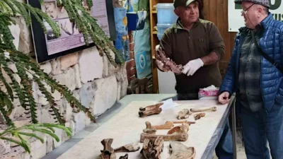 Kuşadası'nda fırtına sonrası kıyıya vuran ve aralarında bir deve kafatasının