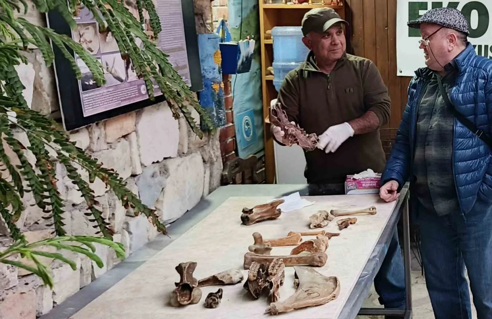 Kuşadası'nda fırtına sonrası kıyıya vuran ve aralarında bir deve kafatasının